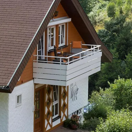 Appartement Wo Der Schwarzwald Am Schoensten Ist - Talblick - Baiersbronn