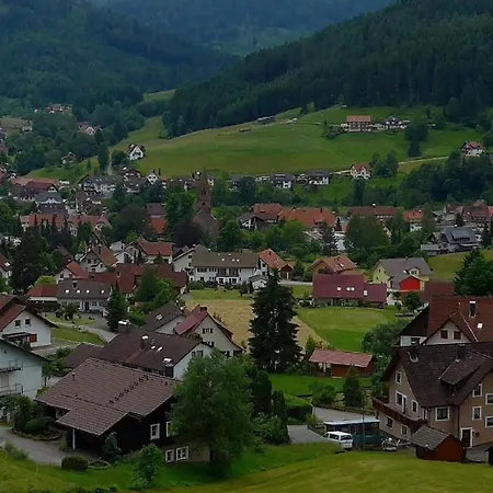 Appartement Wo Der Schwarzwald Am Schoensten Ist - Talblick -