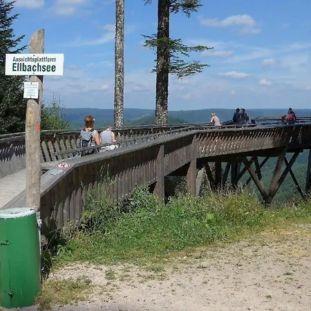 Wo Der Schwarzwald Am Schoensten Ist - Talblick - Baiersbronn