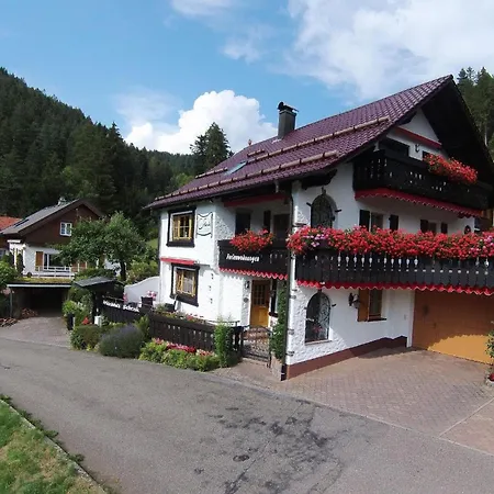 Apartment Wo Der Schwarzwald Am Schoensten Ist - Talblick - *